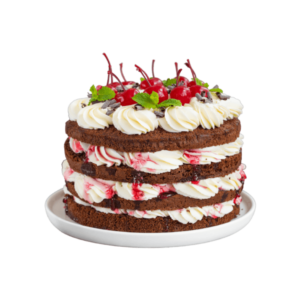 Four-layer chocolate cake